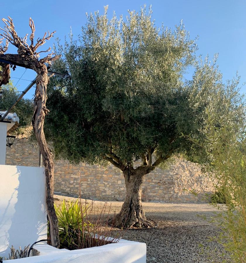 Cortijo La Fe Guest House Montefrio Exterior photo