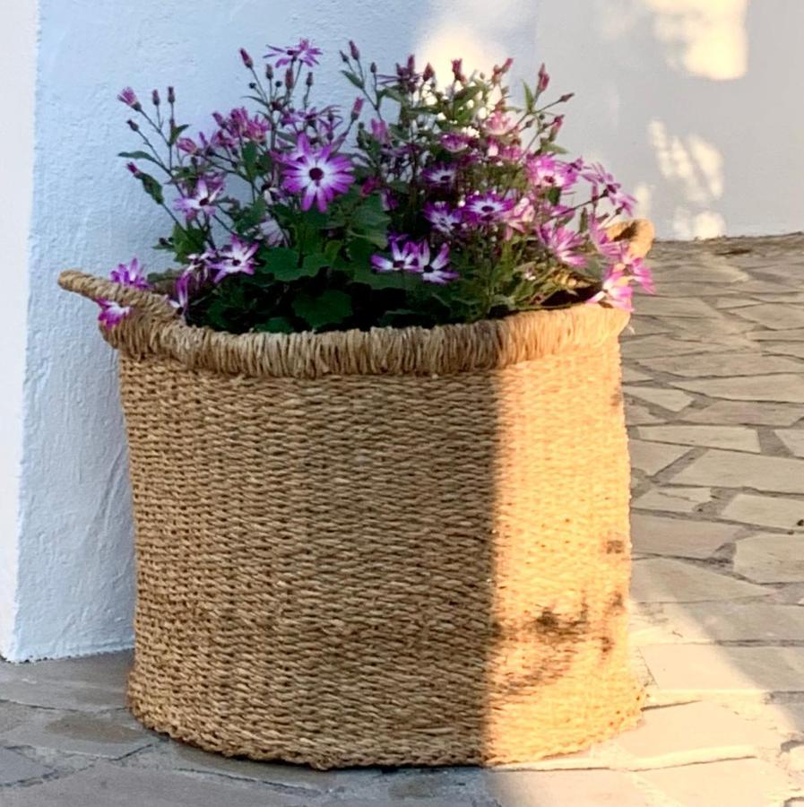 Cortijo La Fe Guest House Montefrio Exterior photo