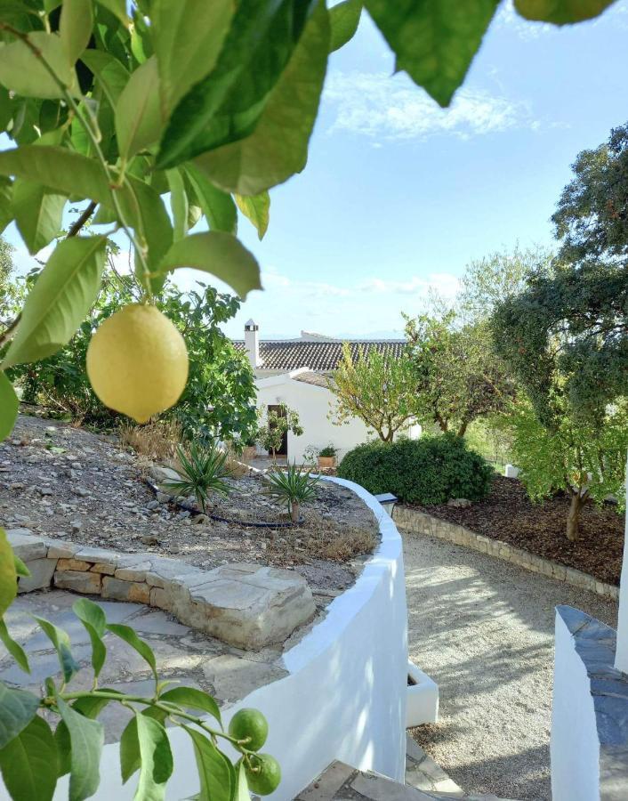 Cortijo La Fe Guest House Montefrio Exterior photo